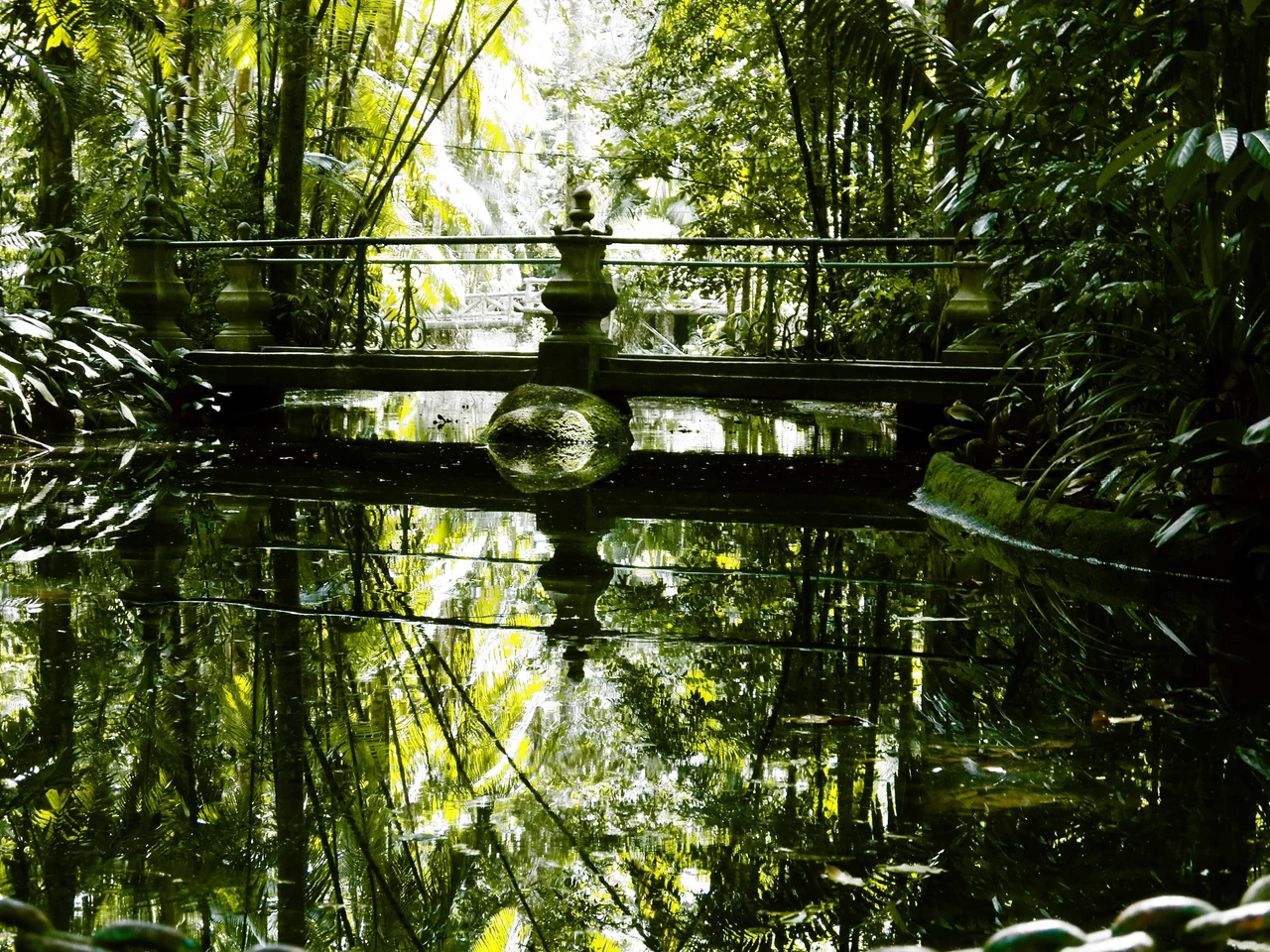Ponte localizada no Bosque Rodrigues Alves em Belém do Pará.
