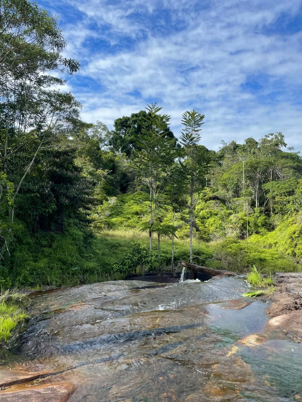 Paisagem observada no Parque Nacional de Boa Nova.