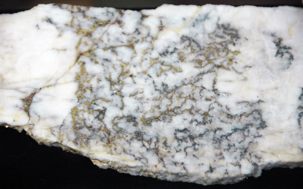 Gold-quartz-sulfide hydrothermal vein from the Tertiary of Colorado, USA. (public display, Leadville Mining Museum, Leadville, Colorado, USA)
This is a gold ore sample from the Camp Bird Mine in southwestern Colorado's San Juan Mountains.  The mineralization here occurs in hydrothermal veins hosted in Tertiary volcanic rocks.  The whitish material is quartz (SiO2).  The deep metallic yellow-colored material is native gold (Au).  The dark gray material is sulfide.

Locality: Camp Bird Mine, near Ouray, San Juan Mountains, southwestern Colorado, USA