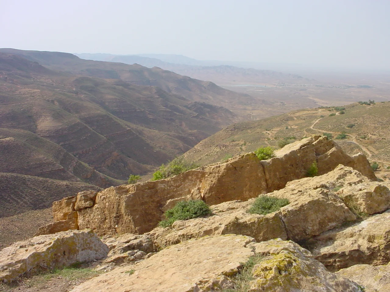 Al Asabia.