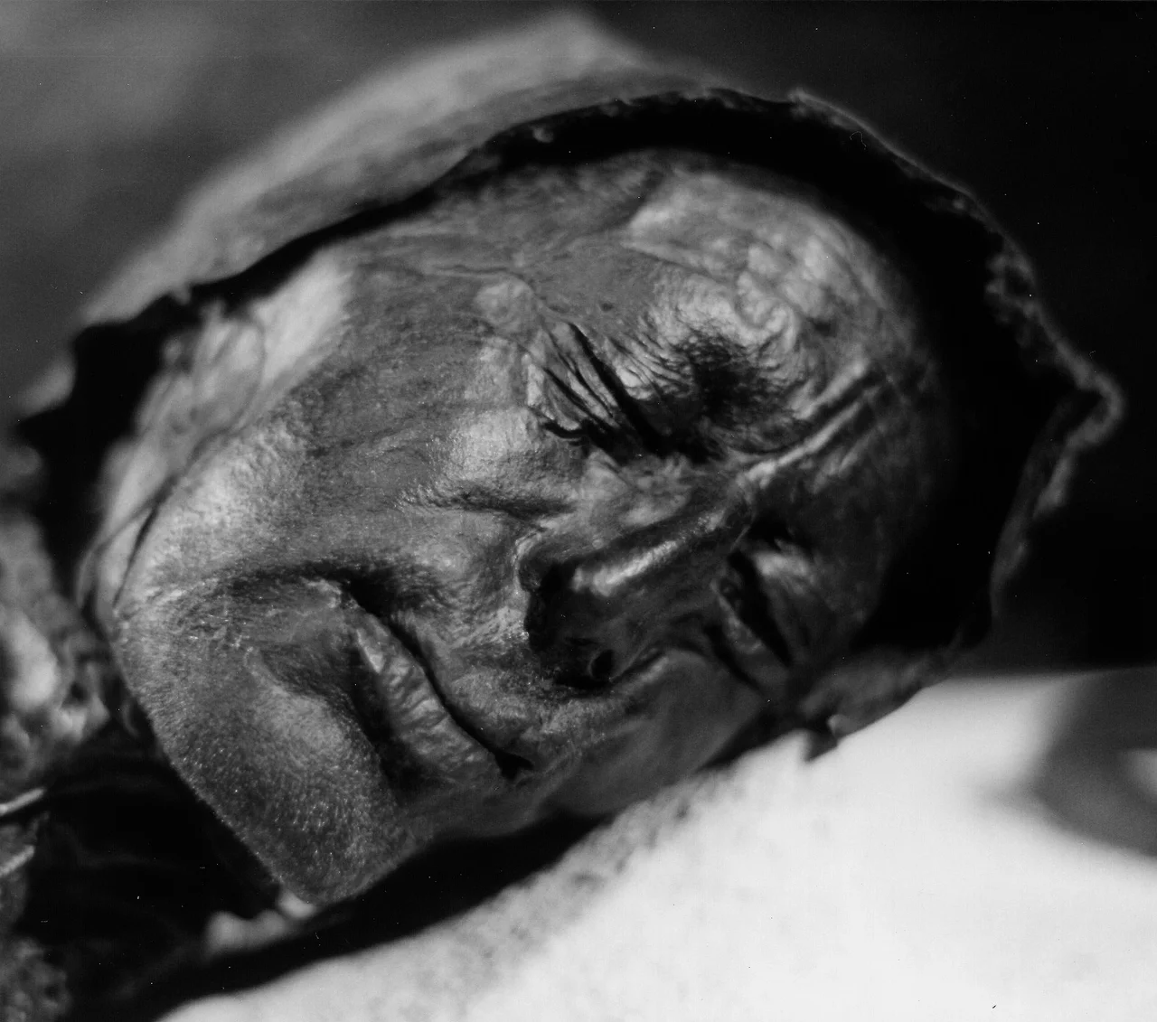 Head of bog body Tollund Man. Found on 1950-05-06 near Tollund, Silkebjorg, Denmark and C14 dated to approximately 375-210 BC.