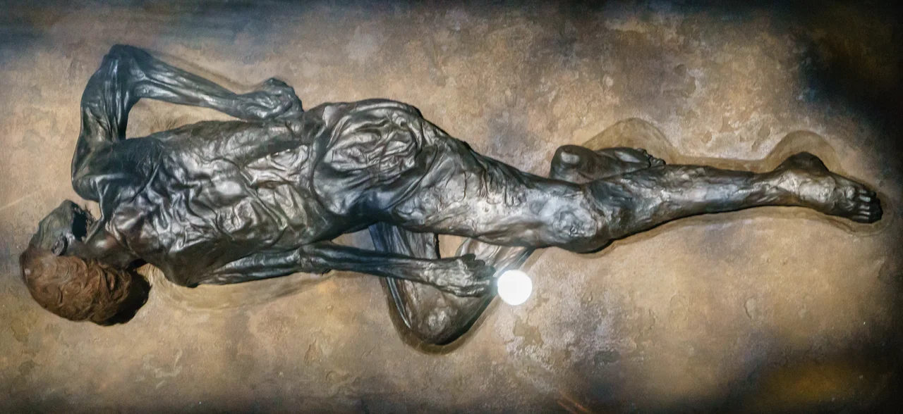 Grauballe Man. Moesgaard Museum