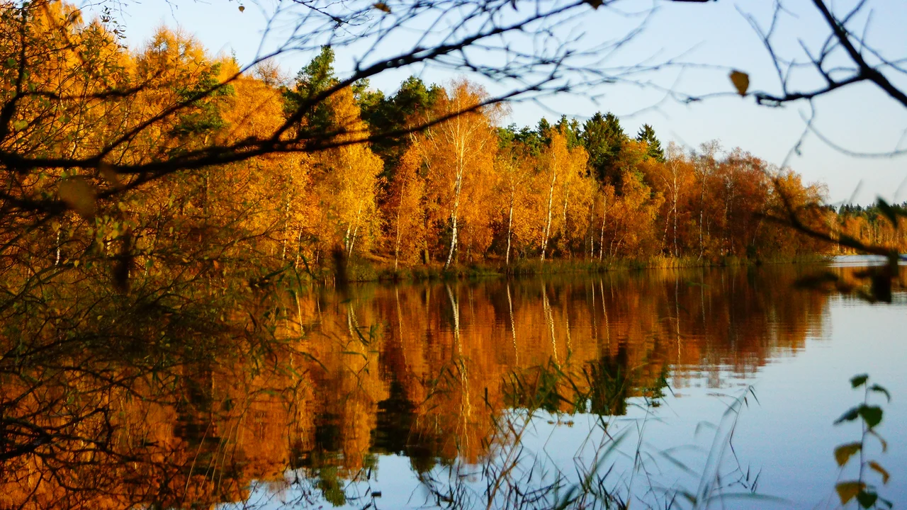 Autumn scene from Øjesø (English: Eye-lake) on Mols, Denmark.